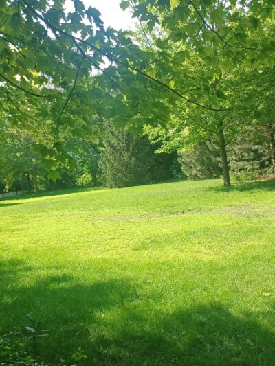 16th & Prairie Dog Park - Chicago, IL