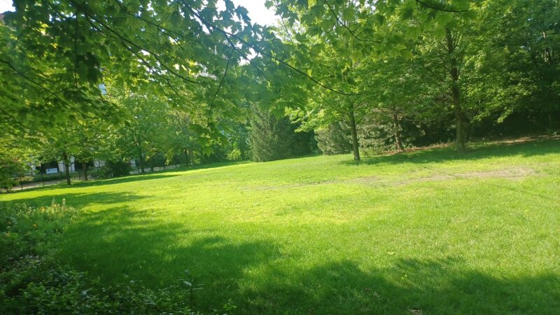 16th & Prairie Dog Park - Chicago, IL