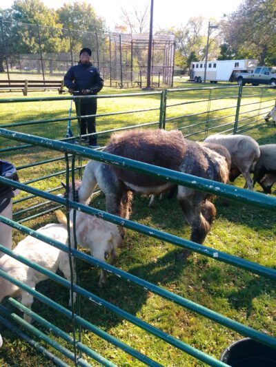 Ada (Sawyer Garrett) Park - Chicago, IL