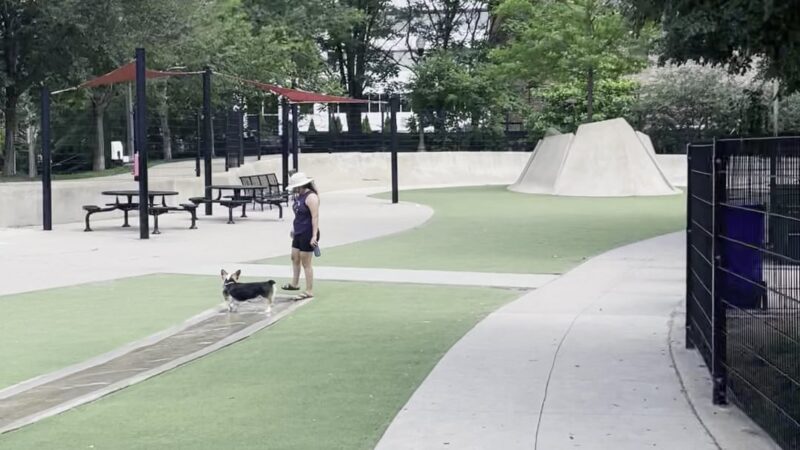 Anderson (Fred) Park - Chicago, IL
