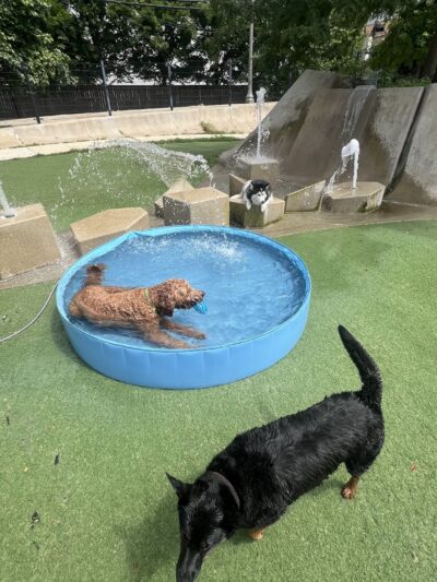 Anderson (Fred) Park - Chicago, IL