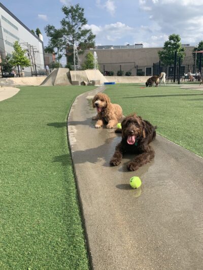 Anderson (Fred) Park - Chicago, IL