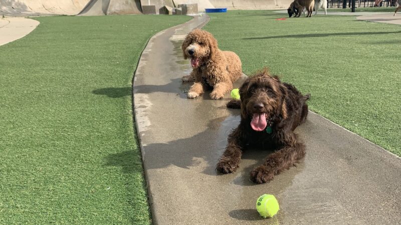Anderson (Fred) Park - Chicago, IL