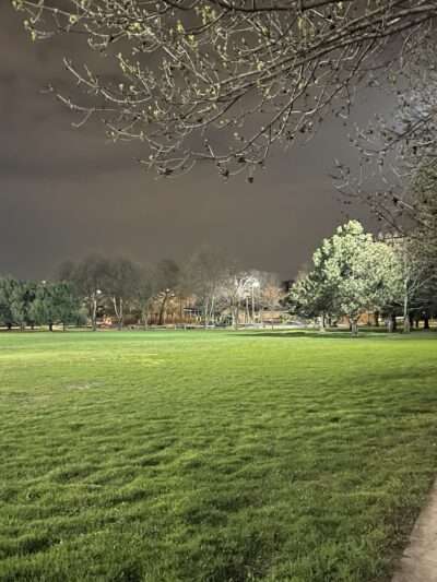 Austin Foster Park - Chicago, IL