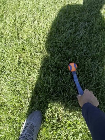 Austin Foster Park - Chicago, IL