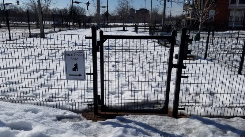 Bronzeville Dog Park #591 - Chicago, IL