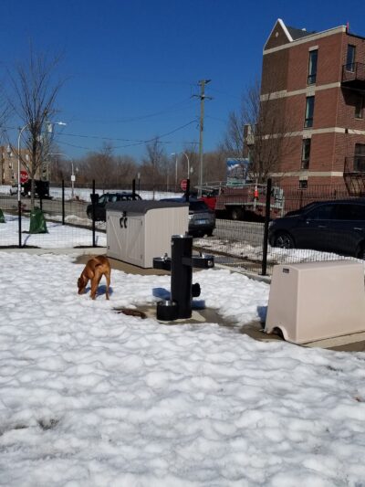 Bronzeville Dog Park #591 - Chicago, IL