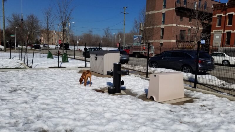 Bronzeville Dog Park #591 - Chicago, IL