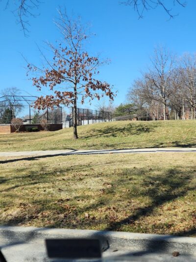 Crescent Park - Chicago, IL