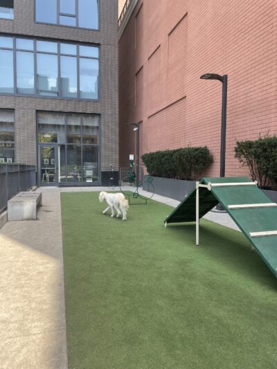 Exhibit Dog Park - Chicago, IL