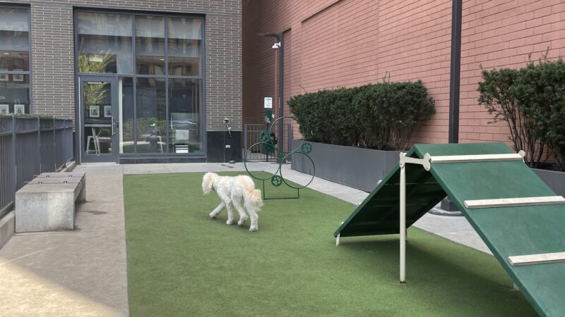 Exhibit Dog Park - Chicago, IL