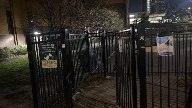Fulton River Dog Friendly Area - Chicago, IL