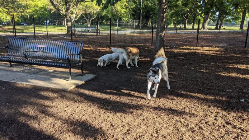 Horner Park Dog Park - Chicago, IL