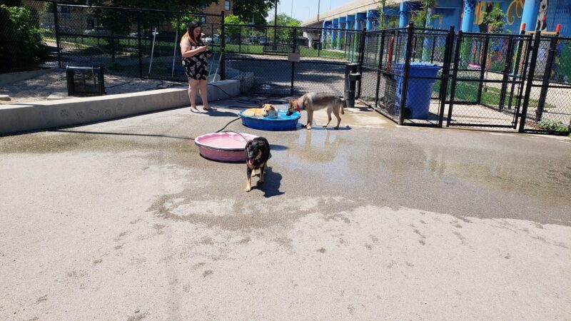 Logan Square Dog Park - Chicago, IL