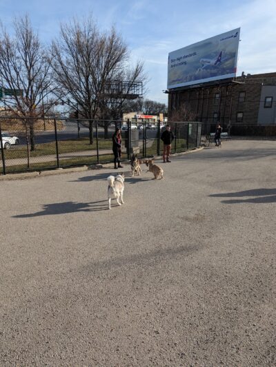 Logan Square Dog Park - Chicago, IL