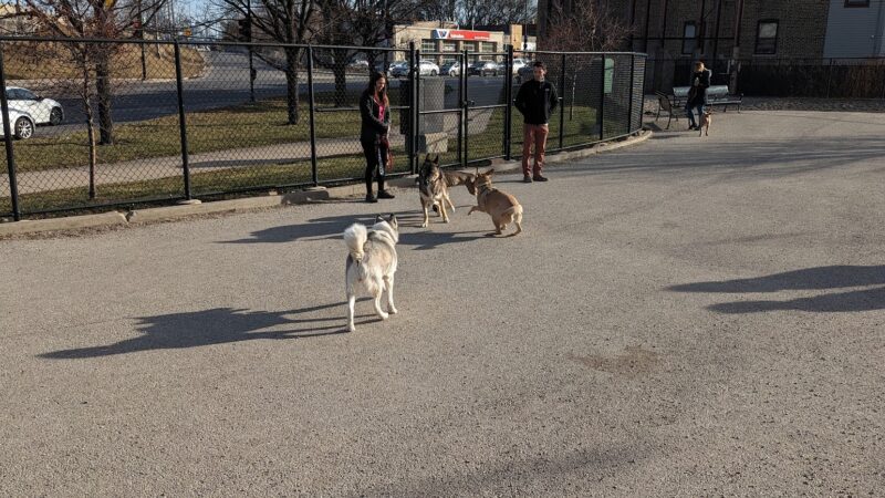 Logan Square Dog Park - Chicago, IL