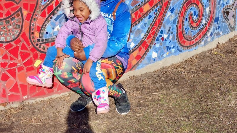 Mt. Greenwood Park Playground - Chicago, IL