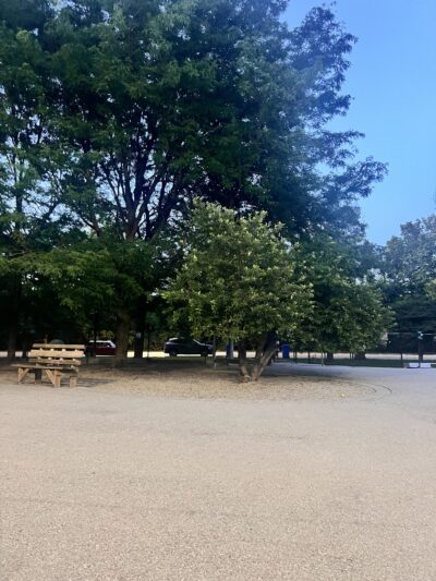 Norwood Park Dog Friendly Area - Chicago, IL