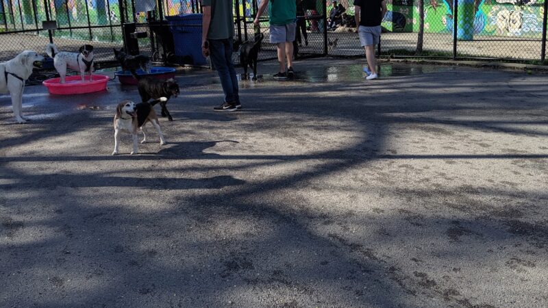 Park #556 - Chicago, IL