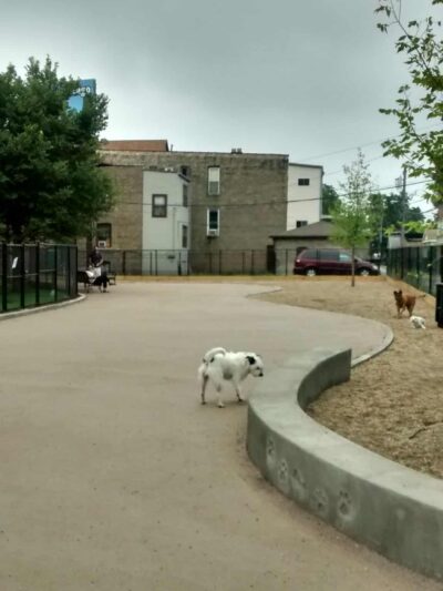 Park #556 - Chicago, IL