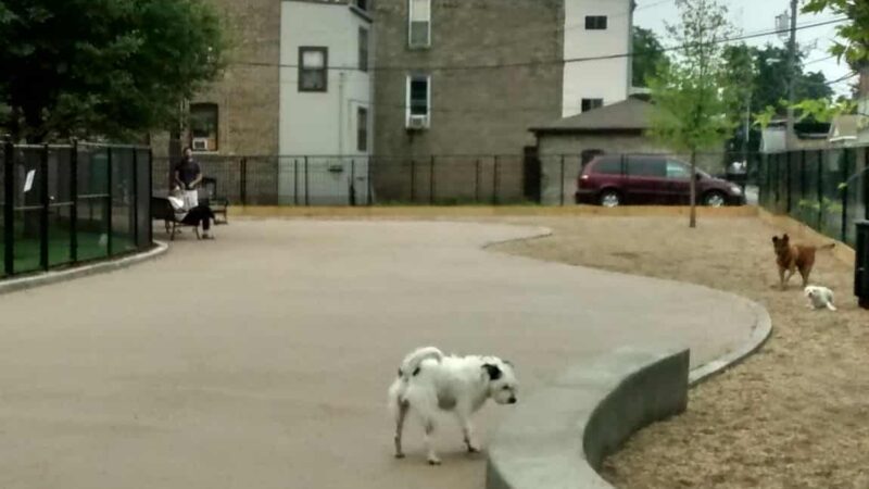 Park #556 - Chicago, IL