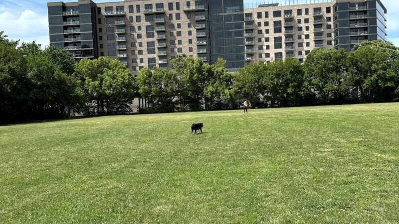 Park #598 - Chicago, IL