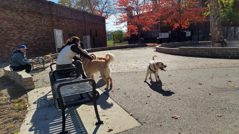 Portage Park Dog Friendly Area - Chicago, IL
