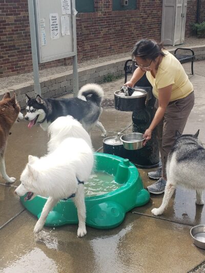Portage Park Dog Friendly Area - Chicago, IL
