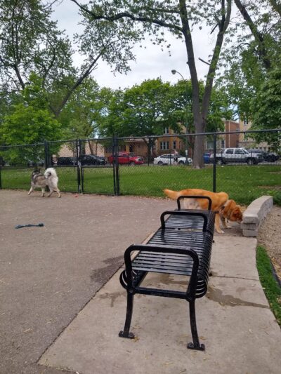 Portage Park Dog Friendly Area - Chicago, IL