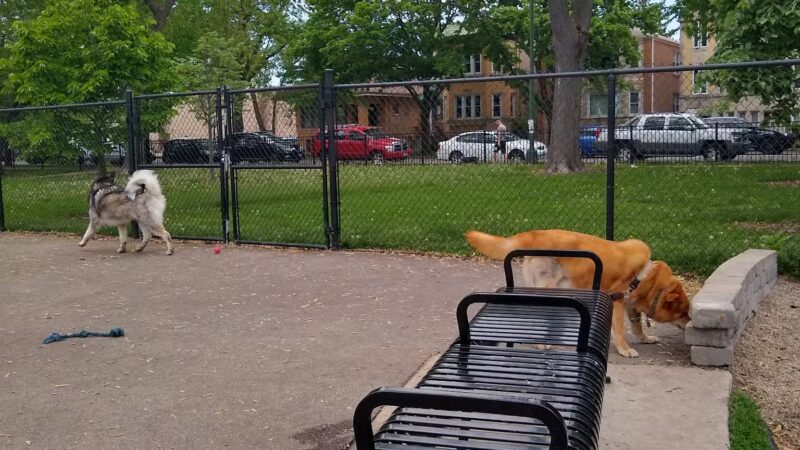 Portage Park Dog Friendly Area - Chicago, IL