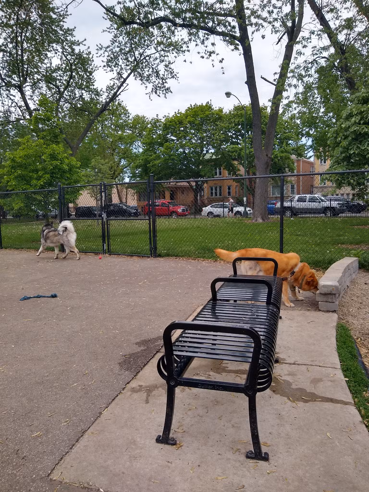 Portage Park Dog Friendly Area - Chicago, IL