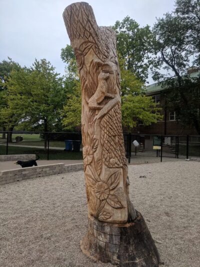 Portage Park Dog Friendly Area - Chicago, IL