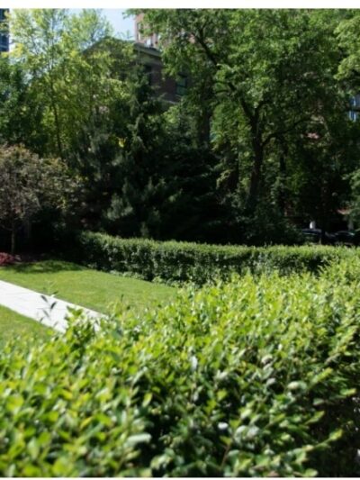 Public Picnic Park - Chicago, IL