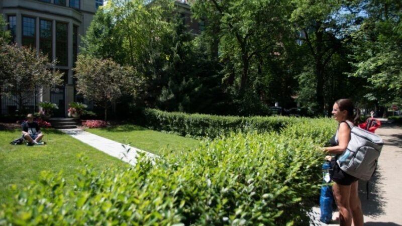 Public Picnic Park - Chicago, IL