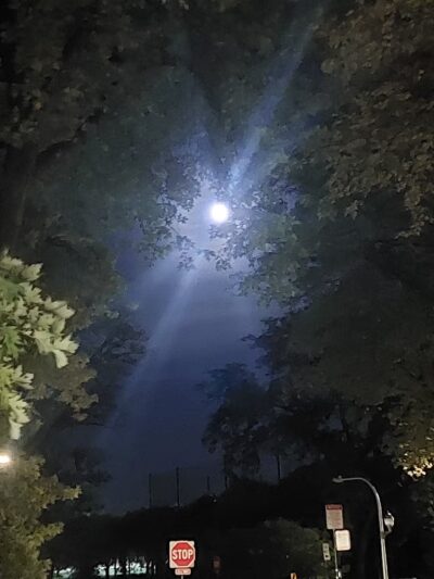 Public Picnic Park - Chicago, IL