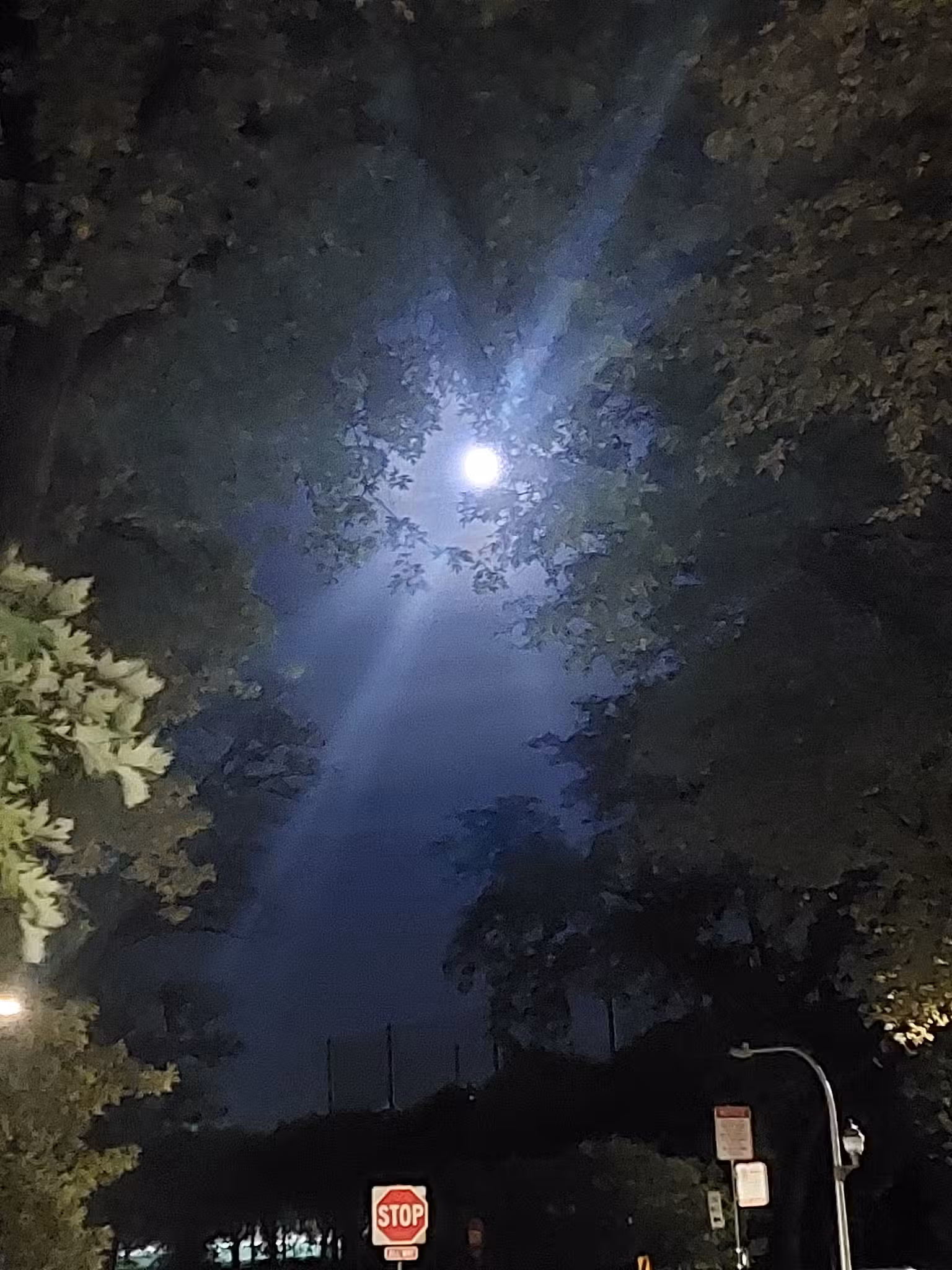 Public Picnic Park - Chicago, IL