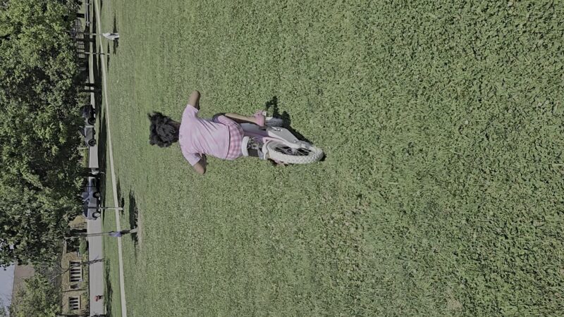 Ridge Park - Chicago, IL