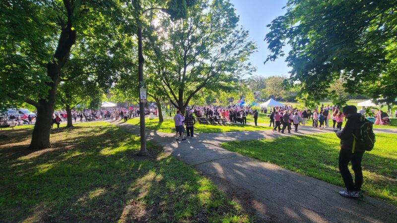 Ridge Park - Chicago, IL