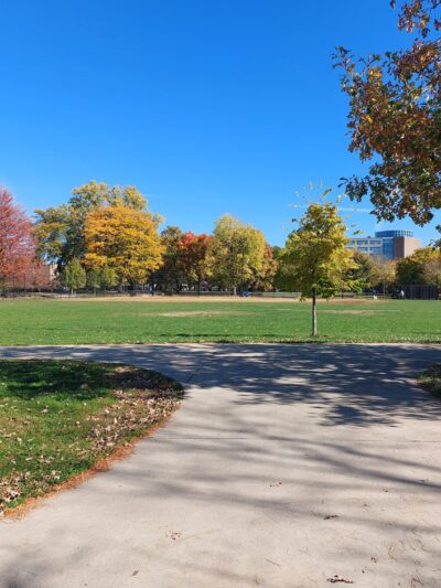 River Park Dog Friendly Area - Chicago, IL