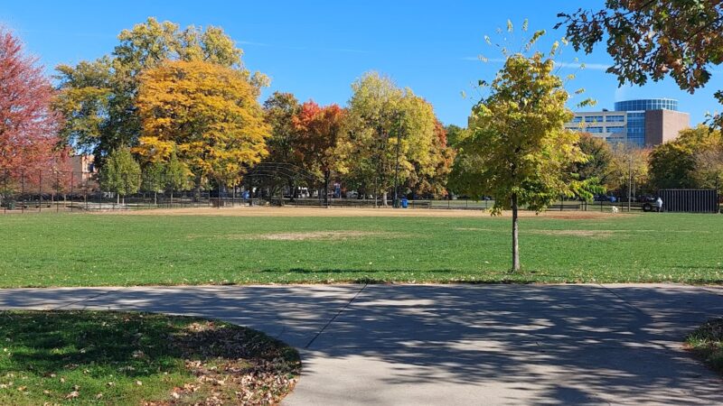River Park Dog Friendly Area - Chicago, IL