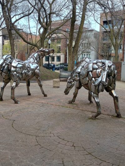 Sedgwick Park - Chicago, IL