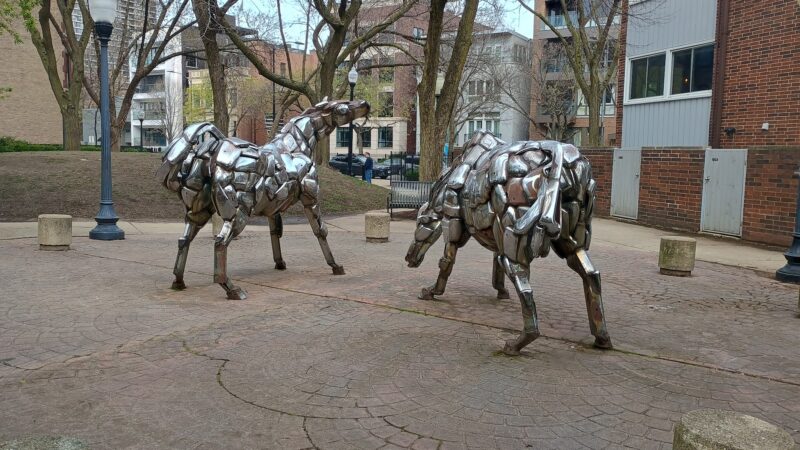 Sedgwick Park - Chicago, IL