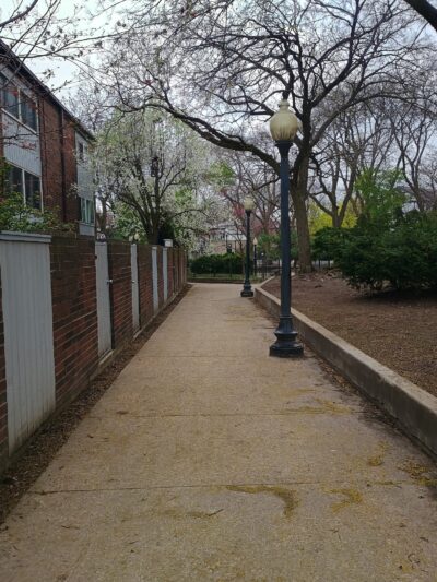 Sedgwick Park - Chicago, IL