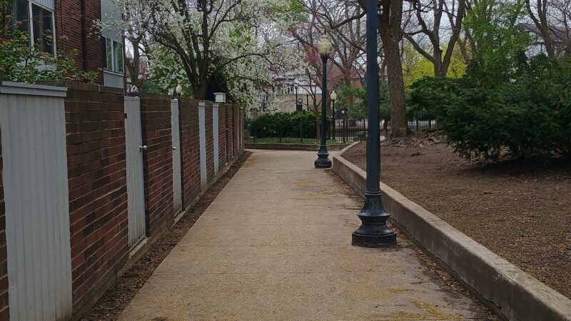 Sedgwick Park - Chicago, IL