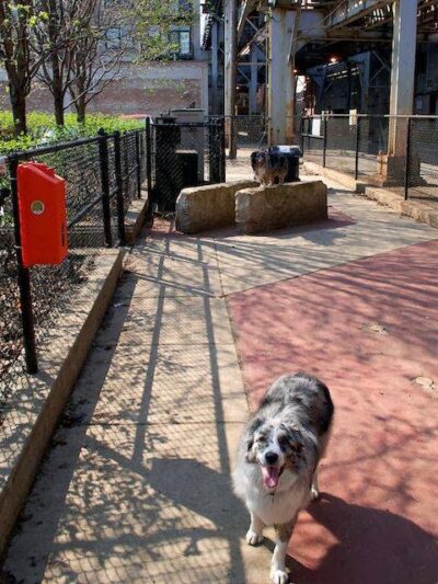 South Loop Action Cooperative - Chicago, IL