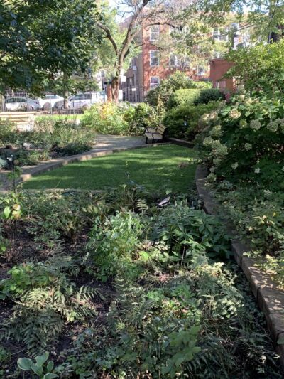 Space Park on Roscoe - Chicago, IL