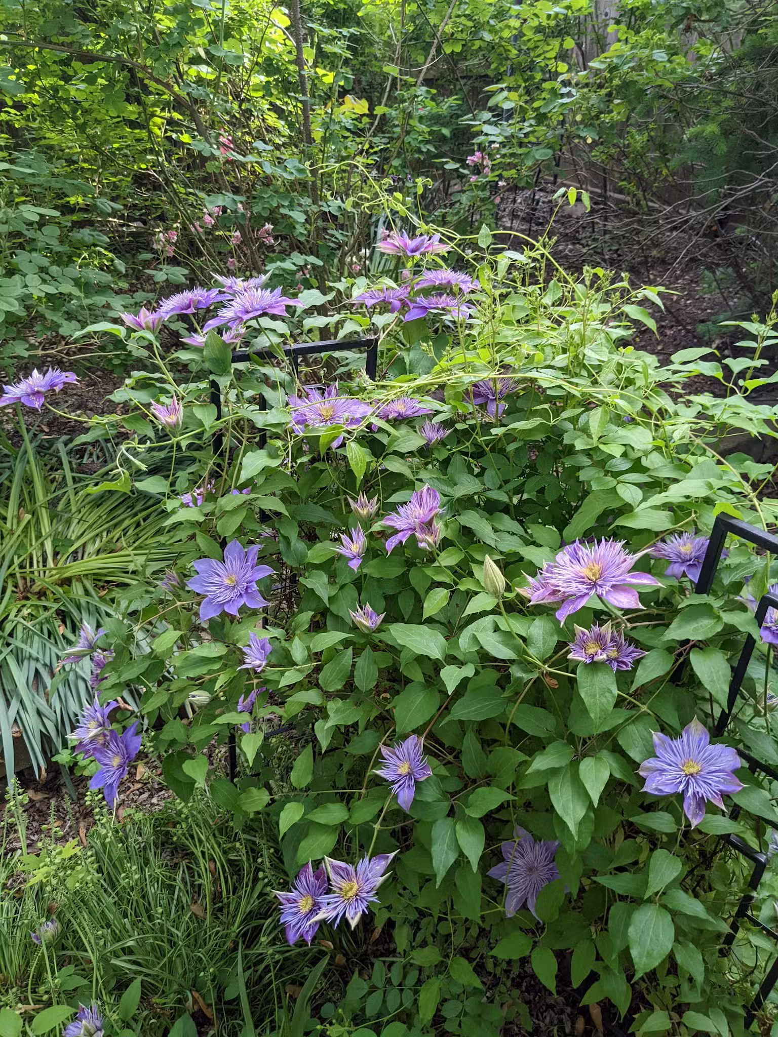 Space Park on Roscoe - Chicago, IL