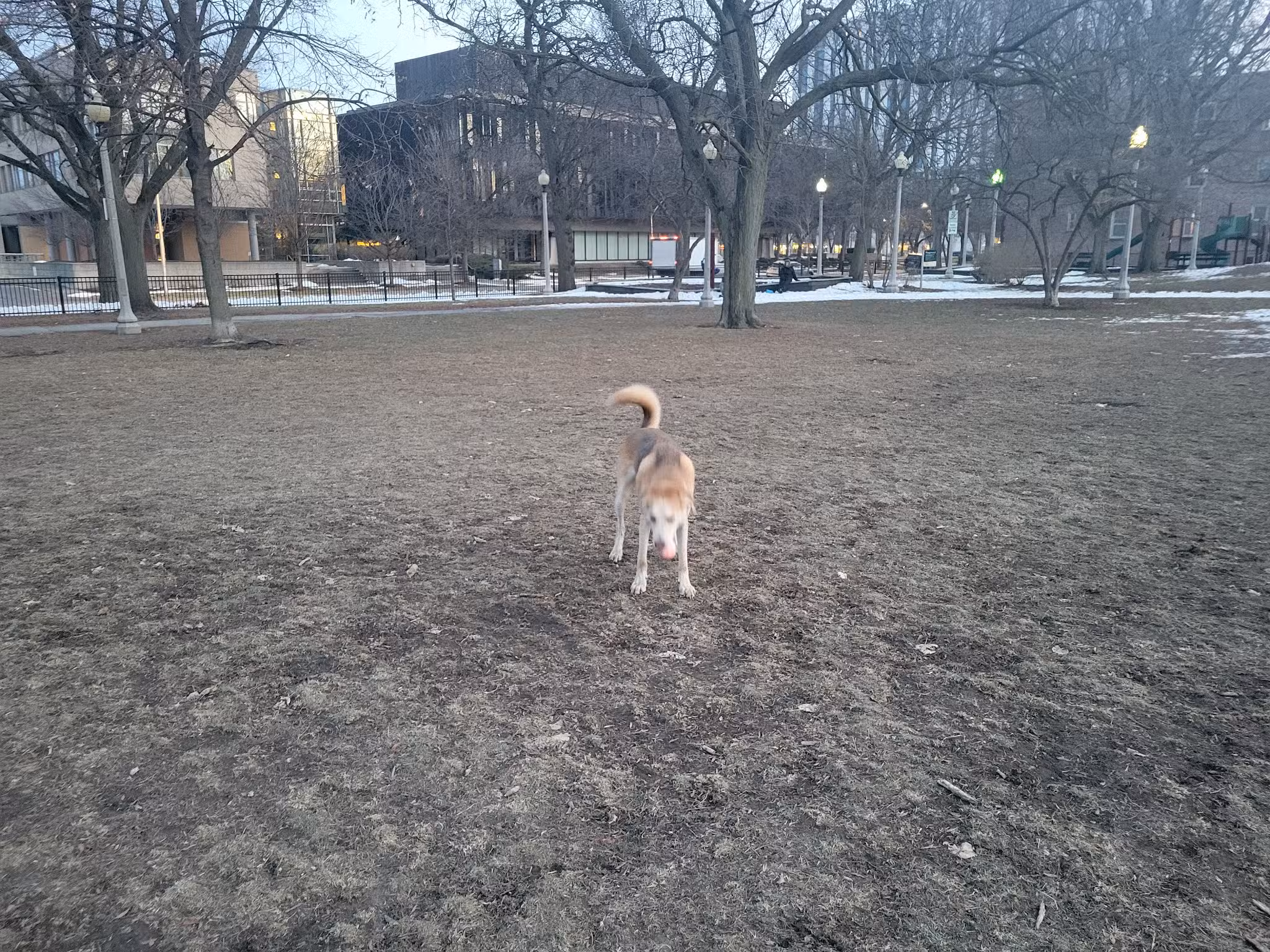 Stout (Florence) Park - Chicago, IL