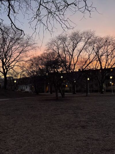 Stout (Florence) Park - Chicago, IL