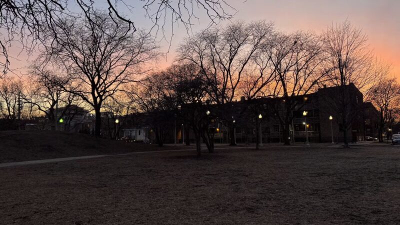 Stout (Florence) Park - Chicago, IL